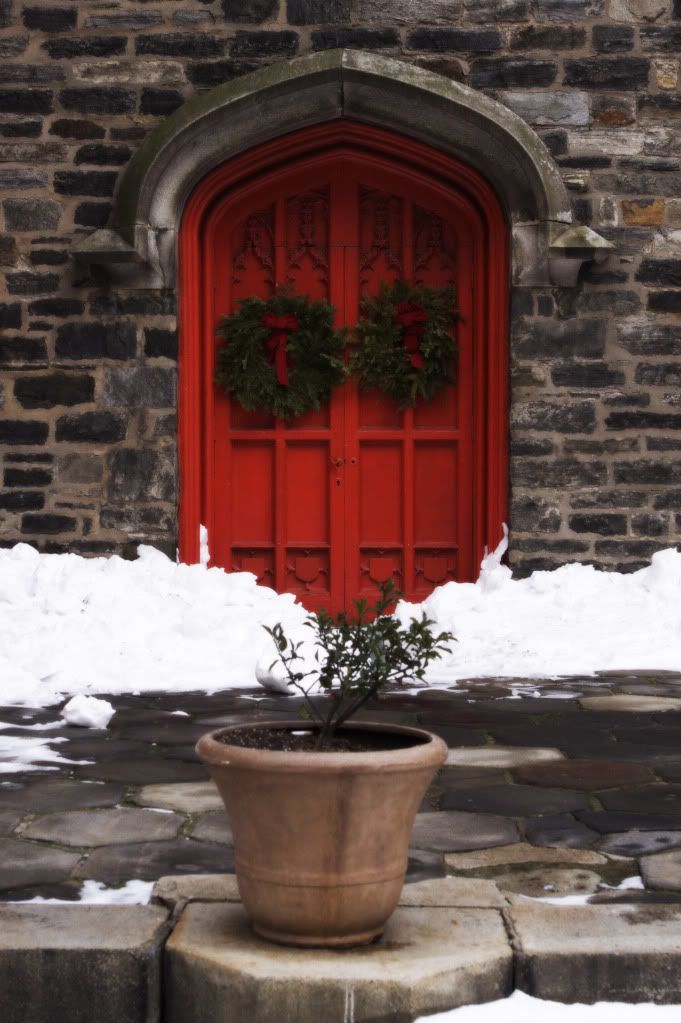 IMAGE: http://i1122.photobucket.com/albums/l534/Nelmahooch/Winter%202011/IMG_8144.jpg