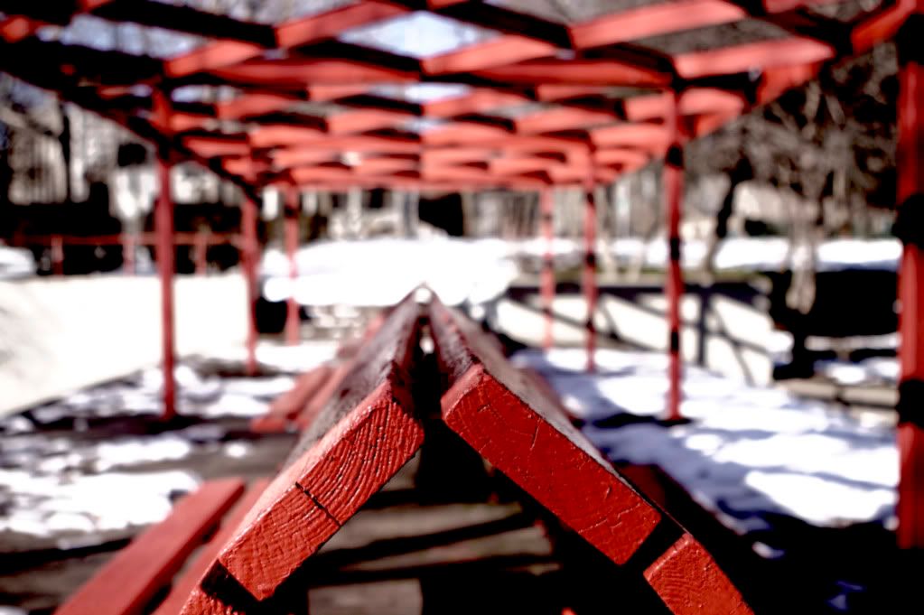 IMAGE: http://i1122.photobucket.com/albums/l534/Nelmahooch/Winter%202011/IMG_8690.jpg