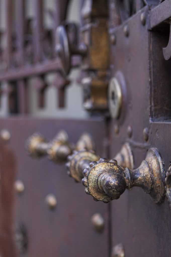 IMAGE: http://i1122.photobucket.com/albums/l534/Nelmahooch/Winter%202011/IMG_8956.jpg