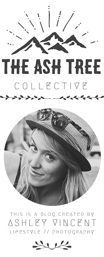  photo side-bar-july-4_zpskr0dlgsh.png