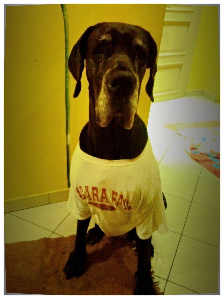 77fe5b27-e193-48c8-a03e-e1e9d67a4b83_zps