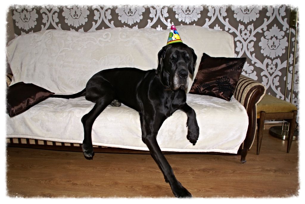 edc06888-453a-4ec5-bd27-c48e32ea18b0_zps