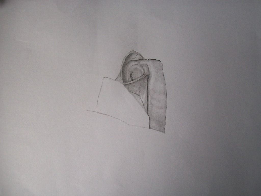 Mi primer intento de realismo: una rosa