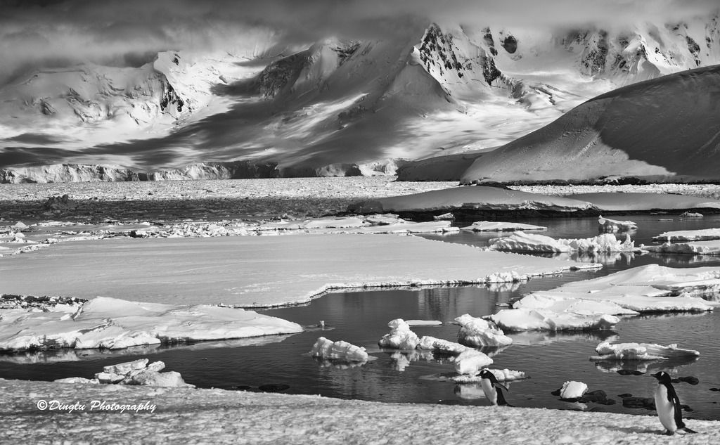 冰原 photo DSC_0580BWT.jpg