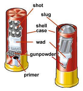 shotgun shells filled with slugs vs buckshot