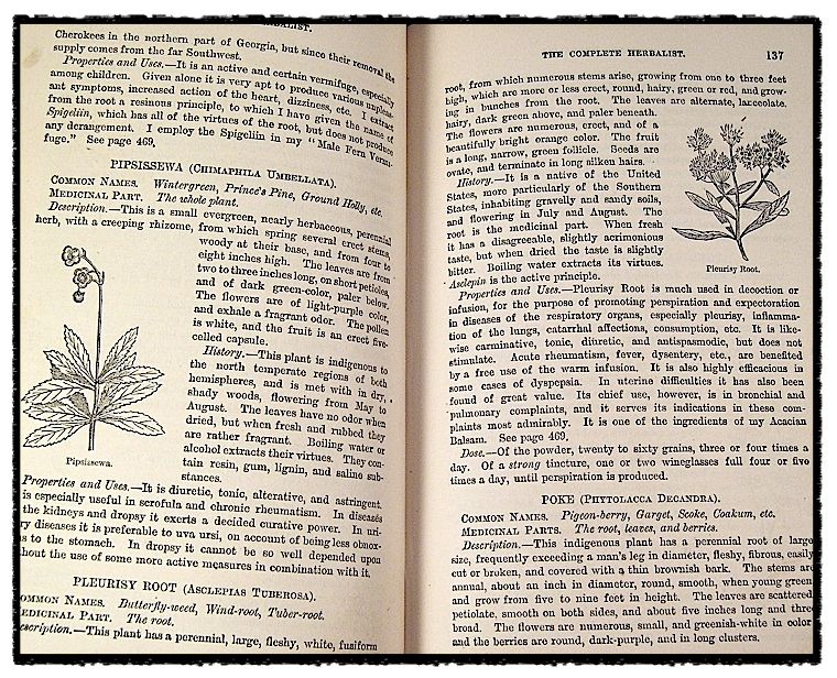 ANTIQUE APOTHECARY HERBAL RECIPE BOOK Holistic Herb MEDICINE Pharmacy