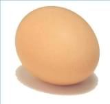 gambar telur gambar telor