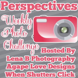 Perspectives Photo Challenge
