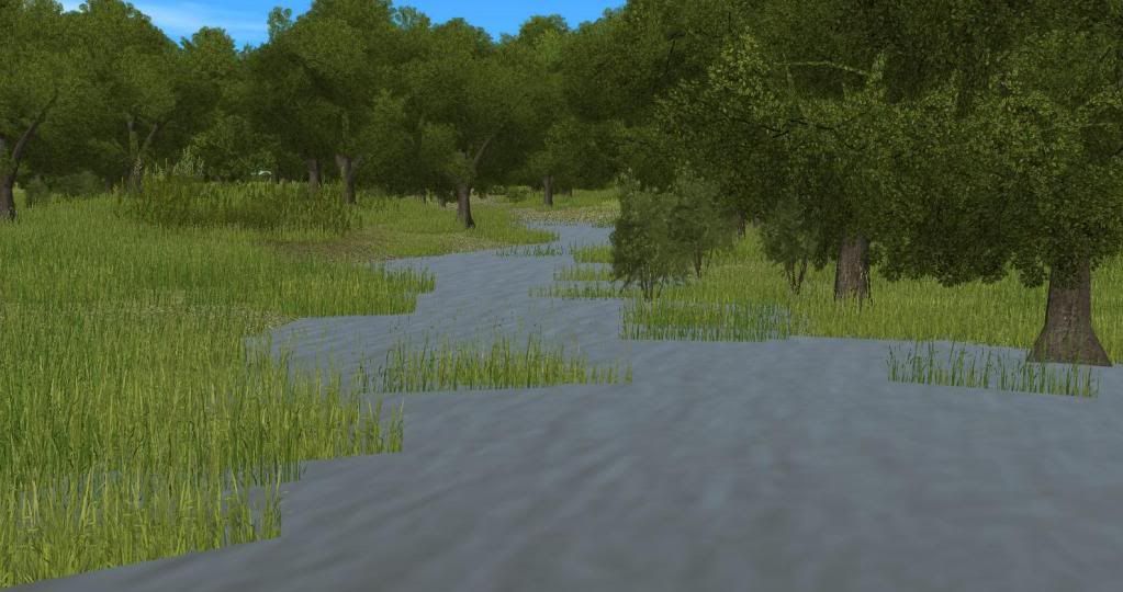swamp2a.jpg