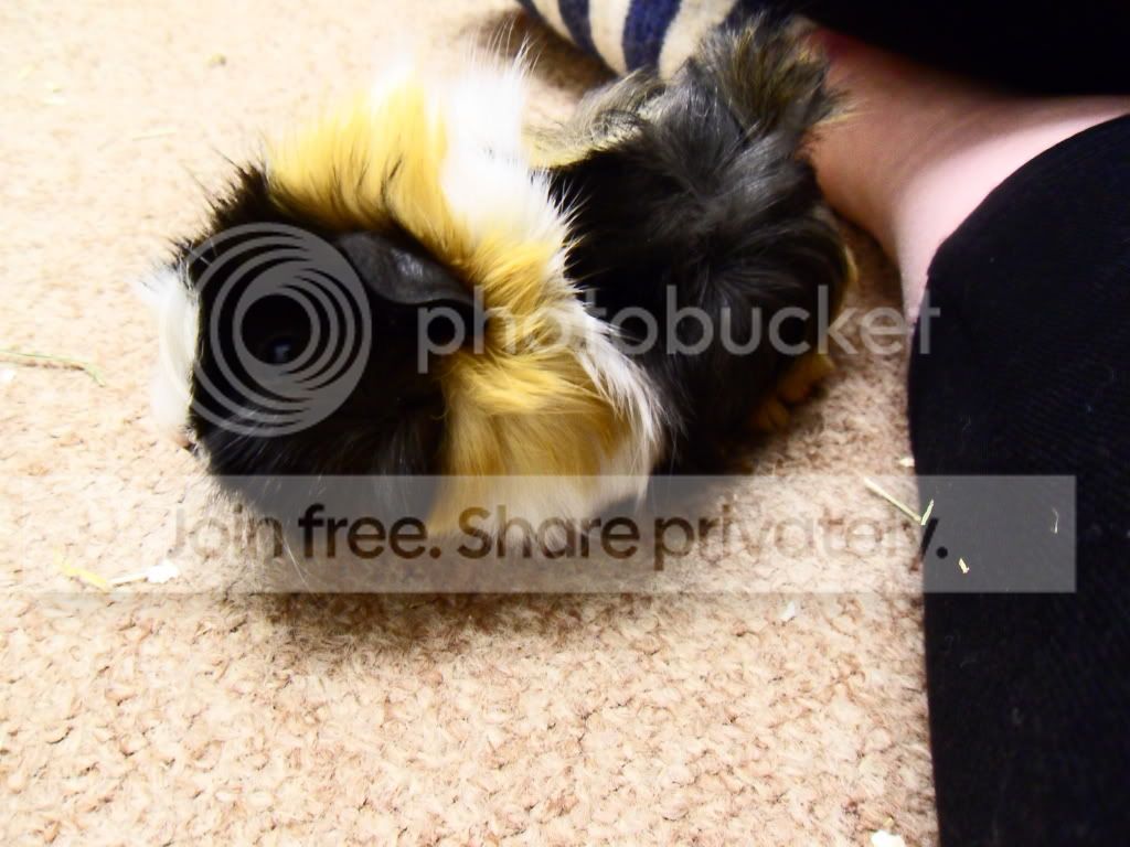 SDC16524.jpg