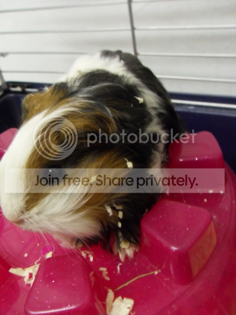 SDC16873.jpg
