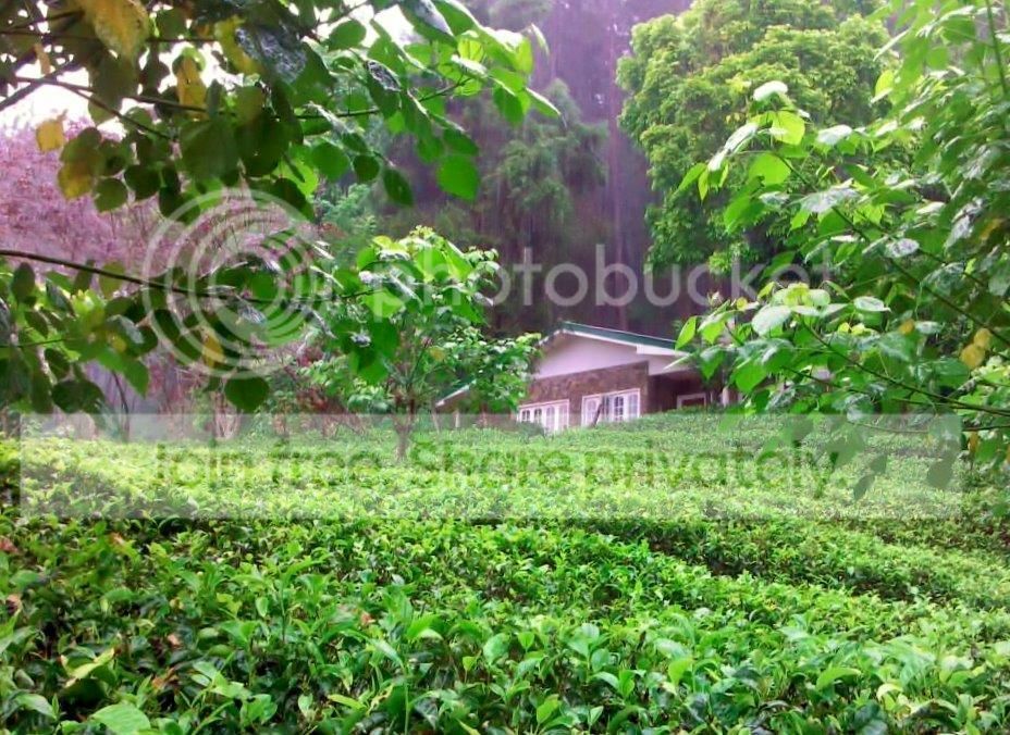 The%20bunglow_zpsusrppncz.jpg
